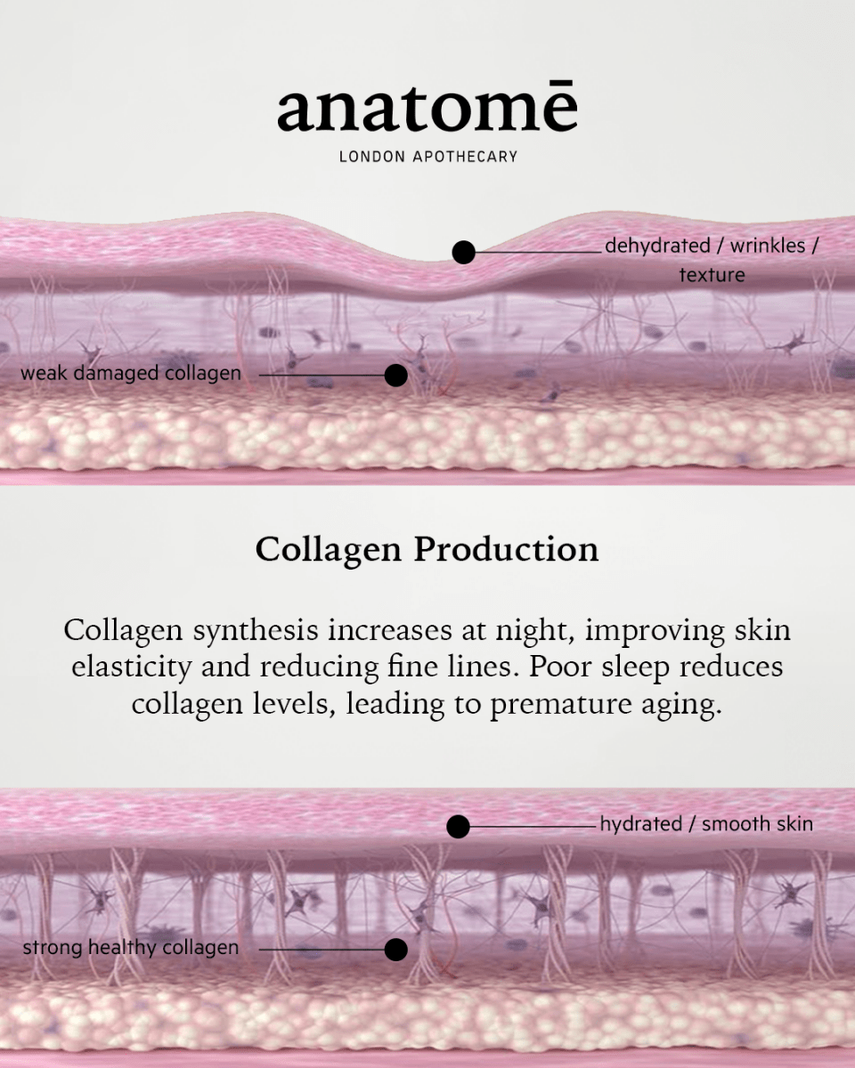 anatomē Illuminating Rose-hip, Grape Seed & Avocado Face Oil