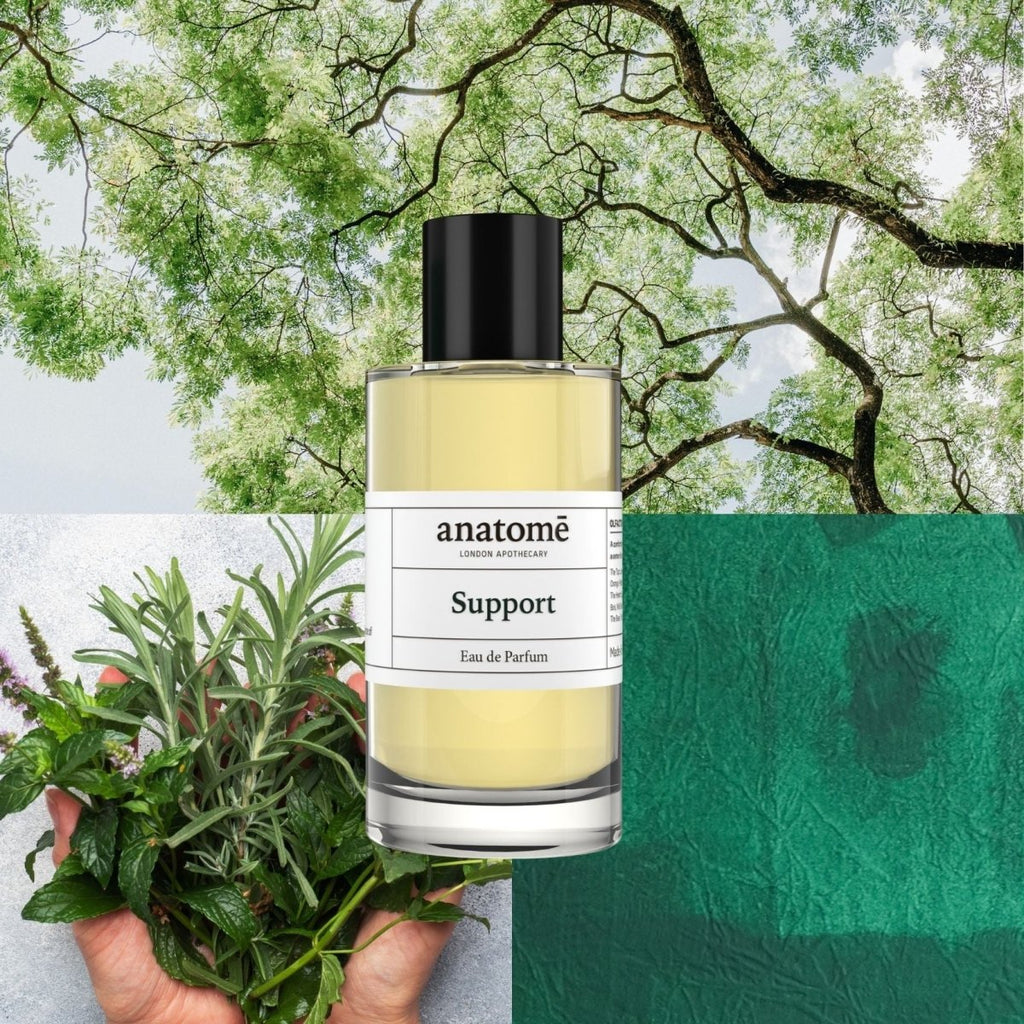 anatomē Support Functional Parfum  10ml