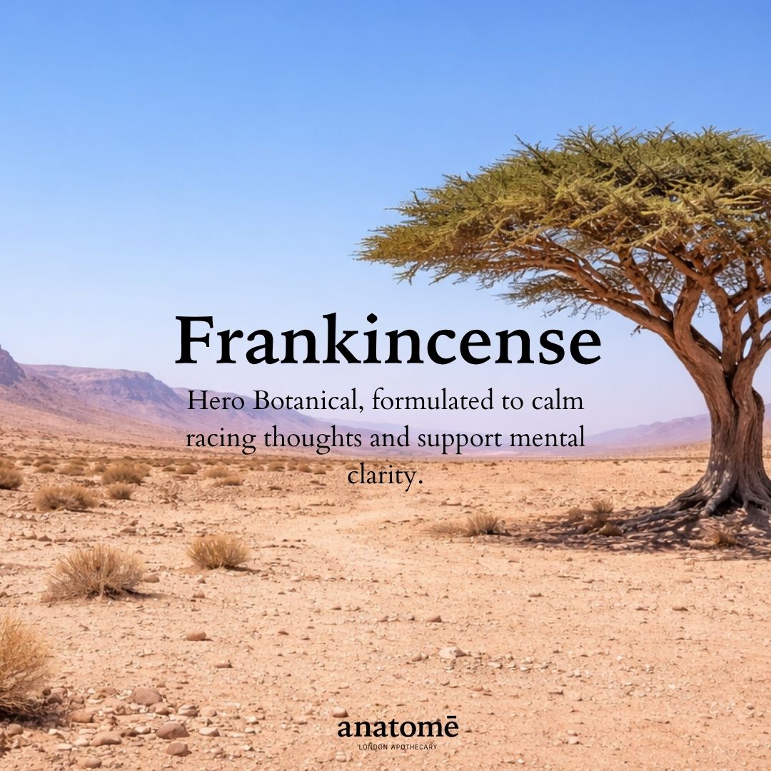 anatomē The Little Gift of Good Sleep - Frankincense